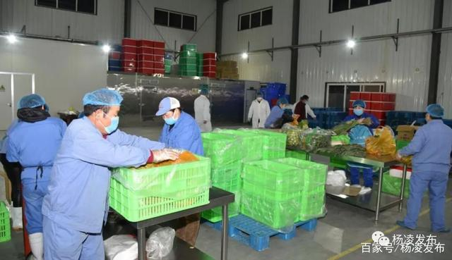 疫情期間保供企業(yè)，貢獻(xiàn)力所能及的力量