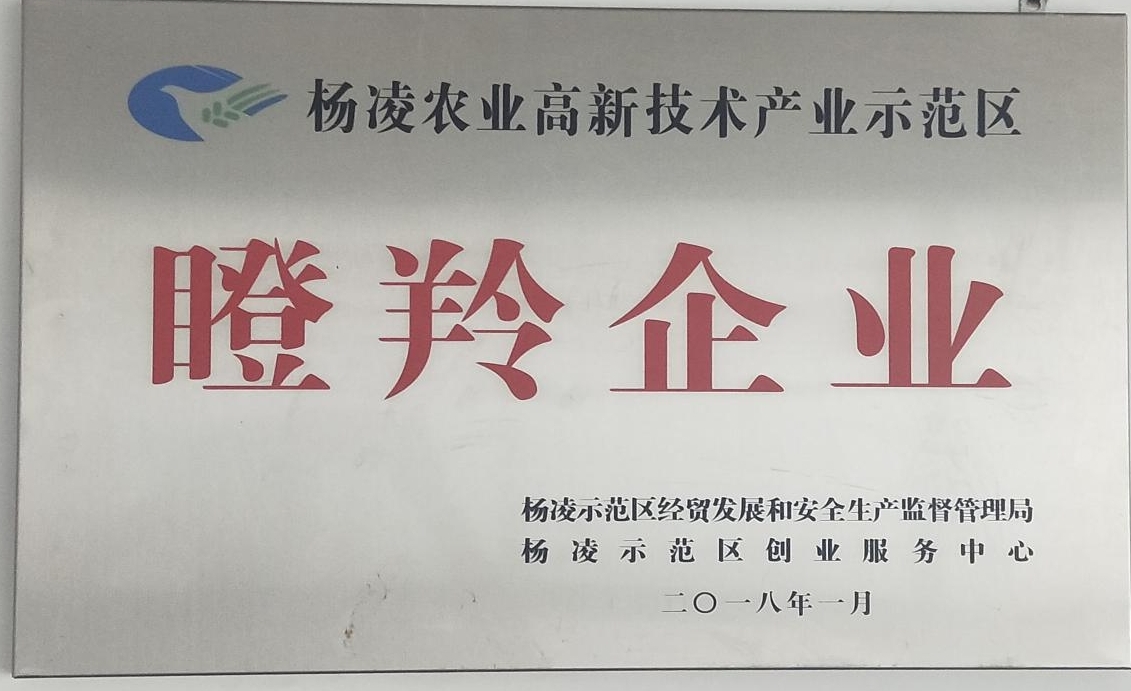 瞪羚企業證書